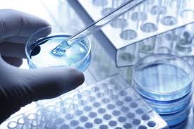Peptide Level Determination Services
